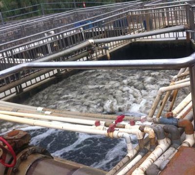 ����̿����